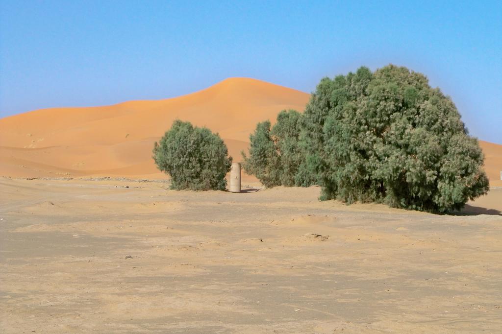Kasbah Tamariste Bed & Breakfast Merzouga Exterior photo