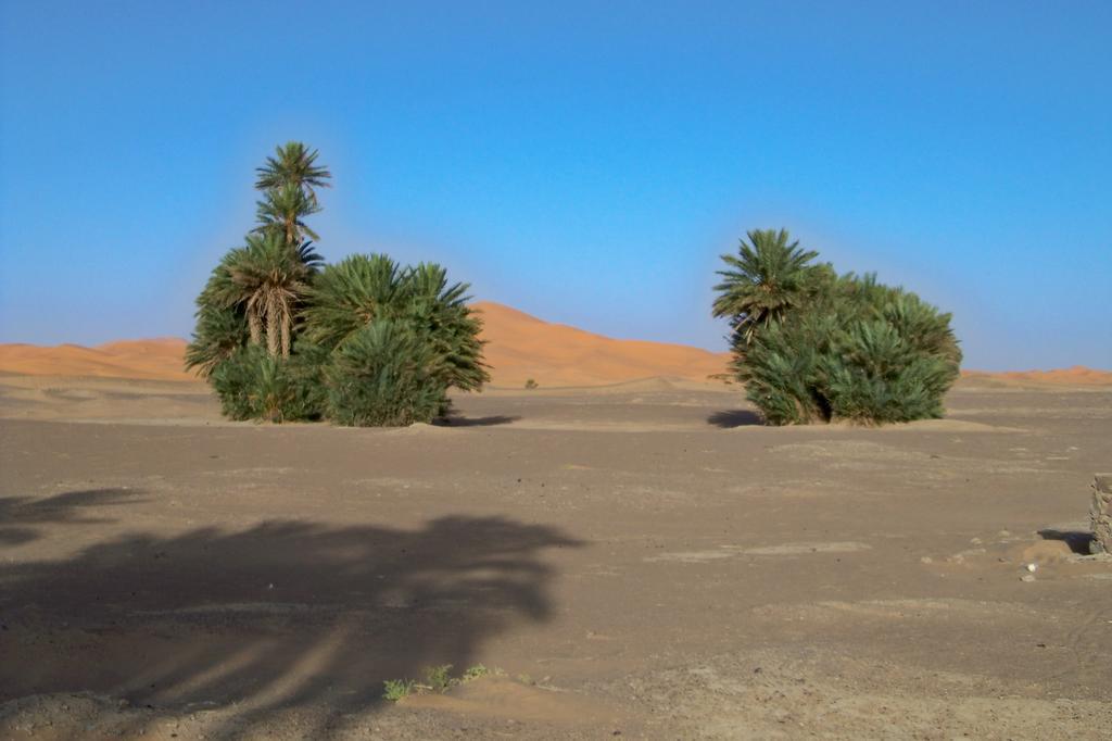 Kasbah Tamariste Bed & Breakfast Merzouga Exterior photo